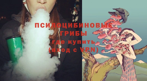 мет Абаза