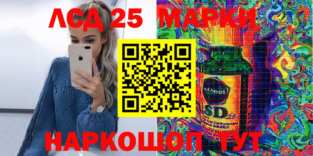 Магазины продажи наркотиков  ГАШ  Курчатов  Alpha-PVP СОЛЬ   MDMA  Меф кристаллы  КОКАИН  Вход с VPN  МАРИХУАНА 