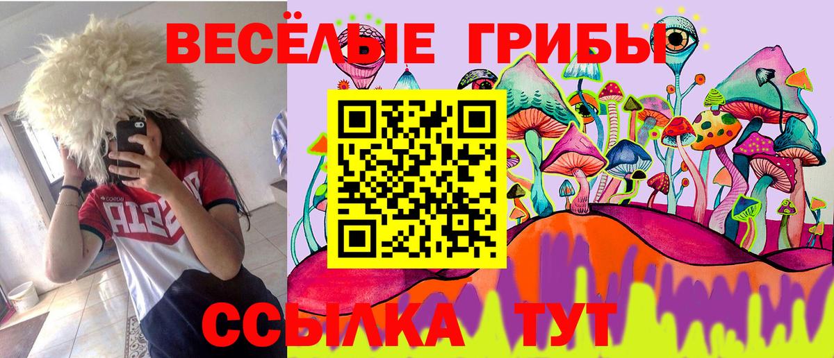 Галлюциногенные грибы Cubensis  где продают   Вход с VPN  Курчатов  Галлюциногенные грибы MAGIC MUSHROOMS 