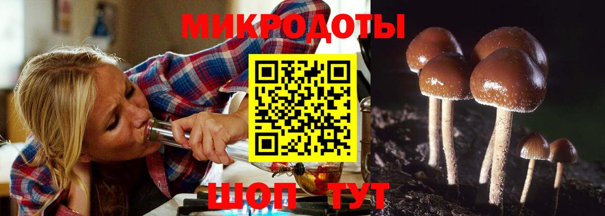 Галлюциногенные грибы прущие грибы Курчатов