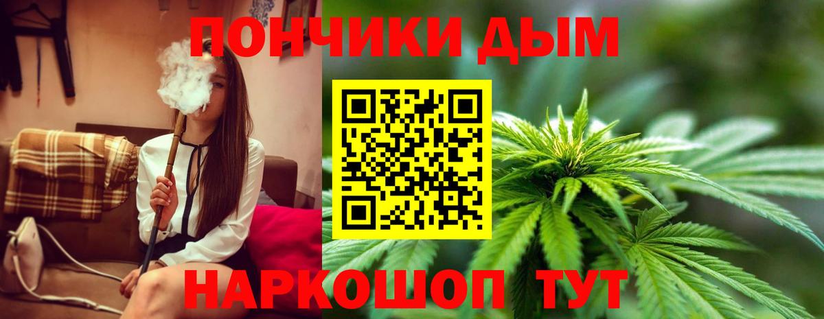 Конопля VHQ Курчатов